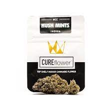 Kush Mints Flower 14g