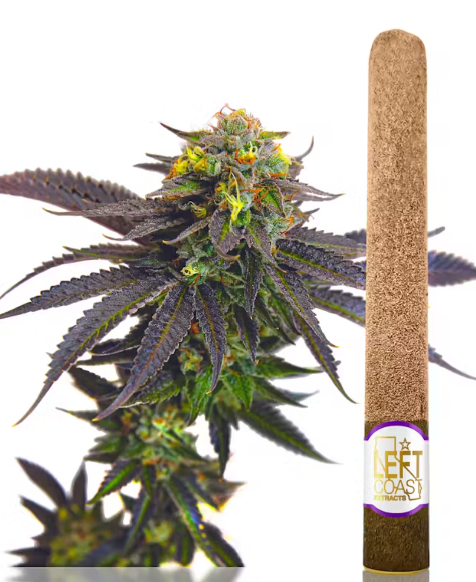 Grape Cookies 2.2g Infused Blunt-roll