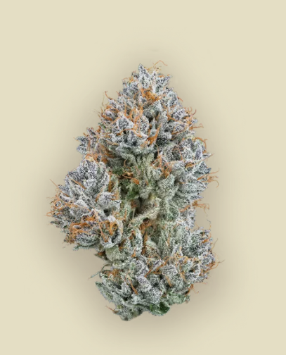 Kush Mountain 3.5g Flower
